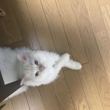 の写真