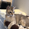 kzy555 さん