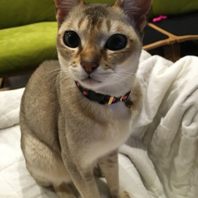 kzy555のカバー写真
