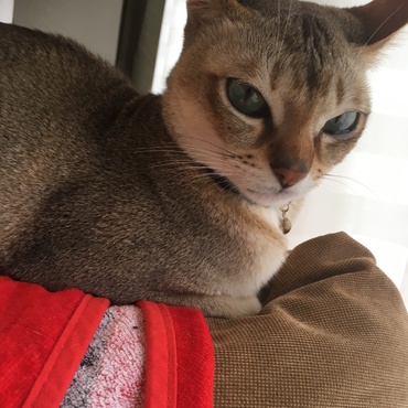 の写真
