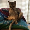 の写真