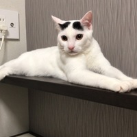 まろ