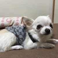 ハリー