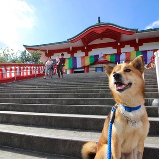 里親様決定しました✨✨ありがとうございます
