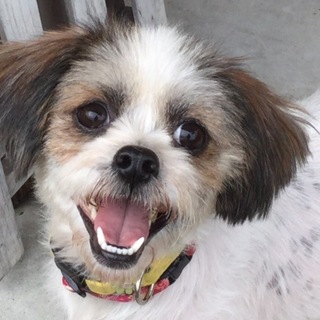 元気いっぱい初芽ちゃん