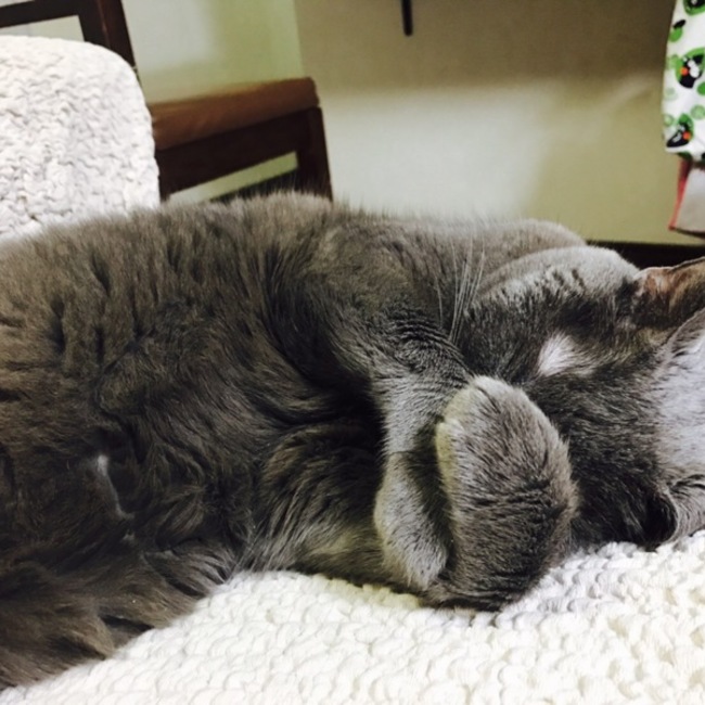 りみママのカバー写真