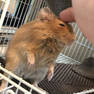の写真