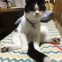 ポテチ