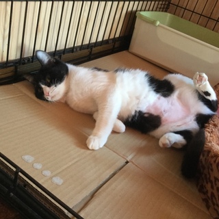 ありがとうございました