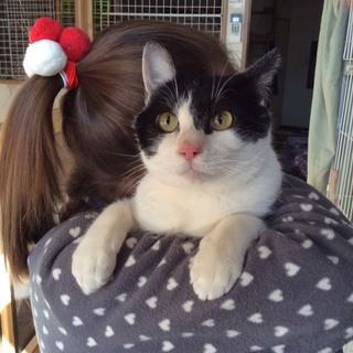 元気いっぱい遊び盛りの男の子