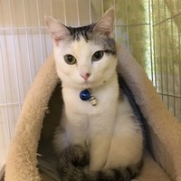 たらお