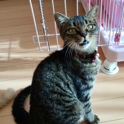 去年の保護活動