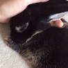 らし