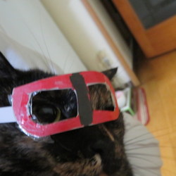 「ゆづきルーペ　（商標未登録）」サムネイル1