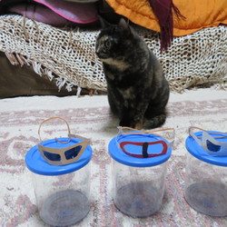 「ゆづきルーペ　（商標未登録）」サムネイル2