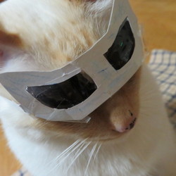 「ゆづきルーペ　（商標未登録）」サムネイル3