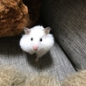 むっちりボディーむーちゃんです！