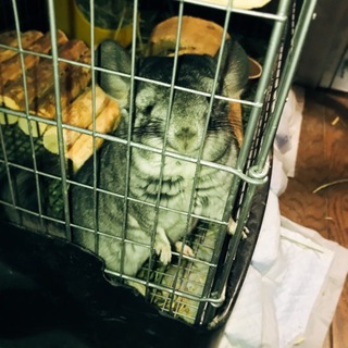 募集多数の為、一旦中止します。