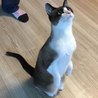 の写真