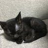 の写真