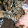 ありがとうございます☆きゅっちゃん サムネイル5