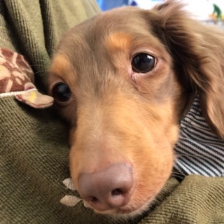 リク☆おっとり系男の子