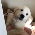 たくさんのご応募ありがとうございます。