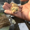 手の平があったかいらしい笑