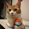 こまば
