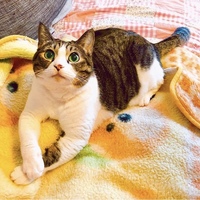 なっちゃん