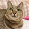 もっちゃり太ってきたよ(o^^o)