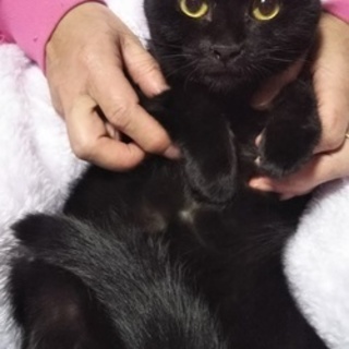 漆黒のイメメンの男の子です☆