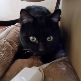 とびっきりの甘えん坊＆おっとり系❤