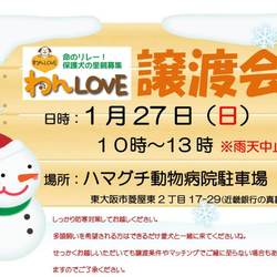 譲渡会 at ハマグチ動物病院 サムネイル1