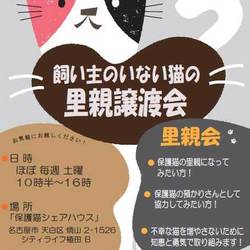 「保護猫シェアハウス・育む」 里親会
