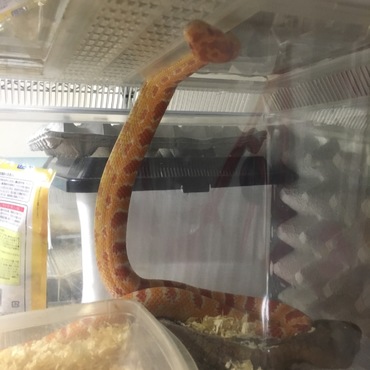 の写真