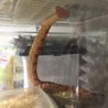 の写真
