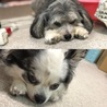 同じポーズで。