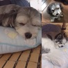 の写真