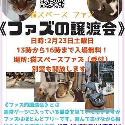 ファズの譲渡会