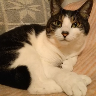 3/24田原町★ビビくん★遊び大好き大きな男の子