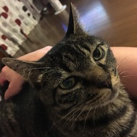 くう