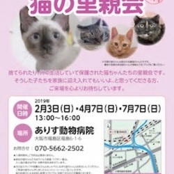 みやママ＆ちか　猫の里親会 サムネイル1