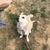 いつもの公園でのお散歩☆声かけに答える余裕も出てきました☆