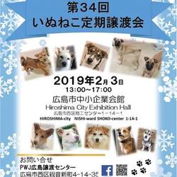 第34回いぬねこ定期譲渡会