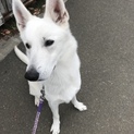 たくさんの応募ありがとうございました