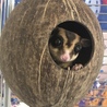 やっと顔を出してくれたエリーくん