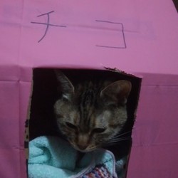 帰って来ました！