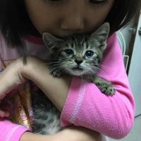 すず