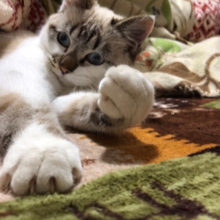 現場遺棄トラシャムの男の子